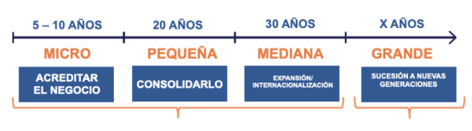 Etapas de las PYMES