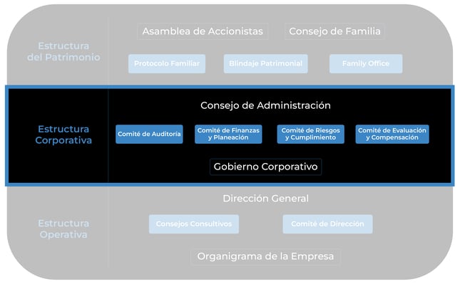 TRANSPARENTES_Mesa de trabajo 1 copia 2