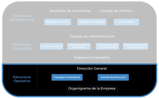 TRANSPARENTES_Mesa de trabajo 1 copia 3-1