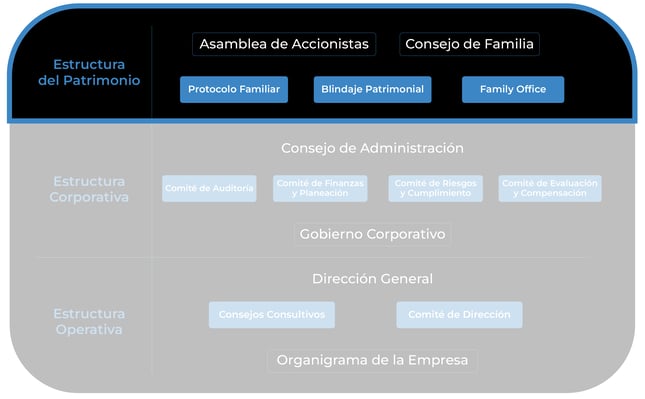 TRANSPARENTES_Mesa de trabajo 1 copia