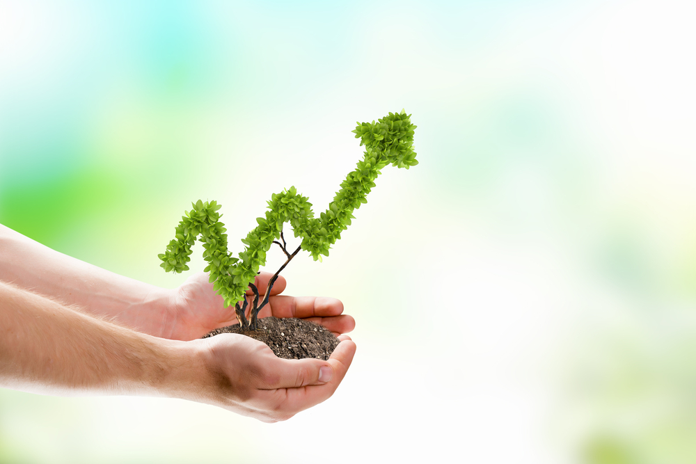 Image of human hands holding plant shaped like arrow Image of human hands holding plant shaped like arrow